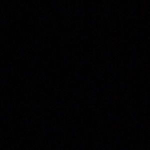 Meet your Posher, Ernest